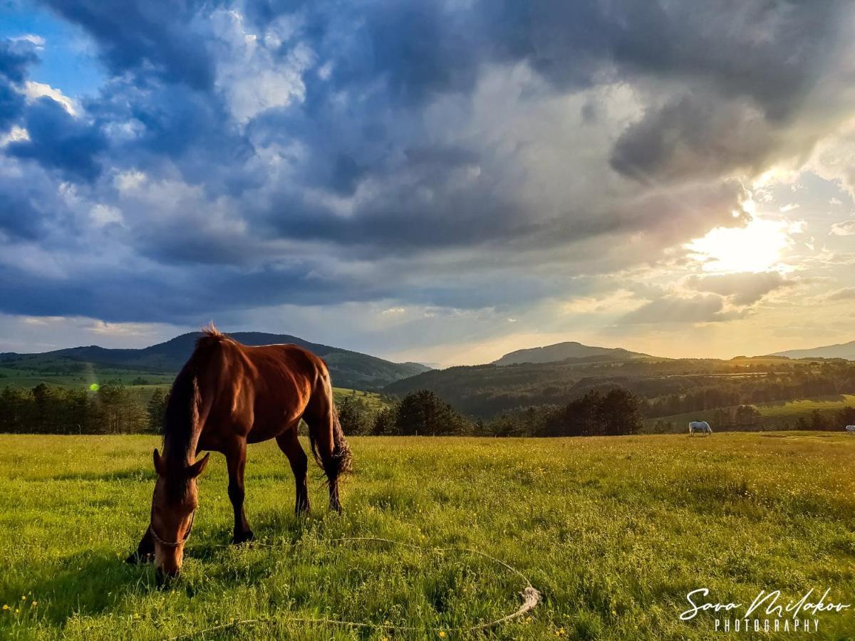 Apartman 65 Zlatibor Bagian luar foto